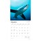 Sharks | 2026 12 x 24 Inch (Hanging) Monthly Square Wall Calendar | Plastic-Free